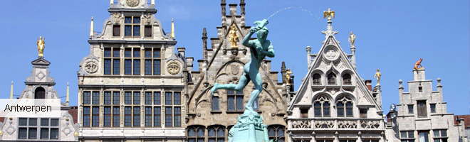 Riccioli Travel Service