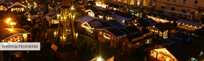 Riccioli Travel Service