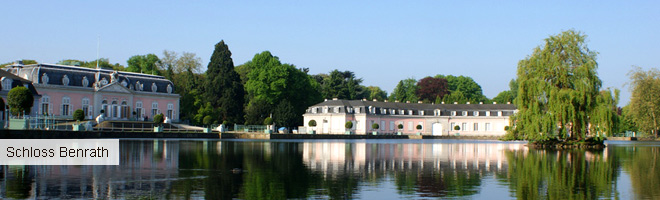 Riccioli Travel Service