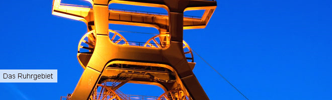 Riccioli Travel Service